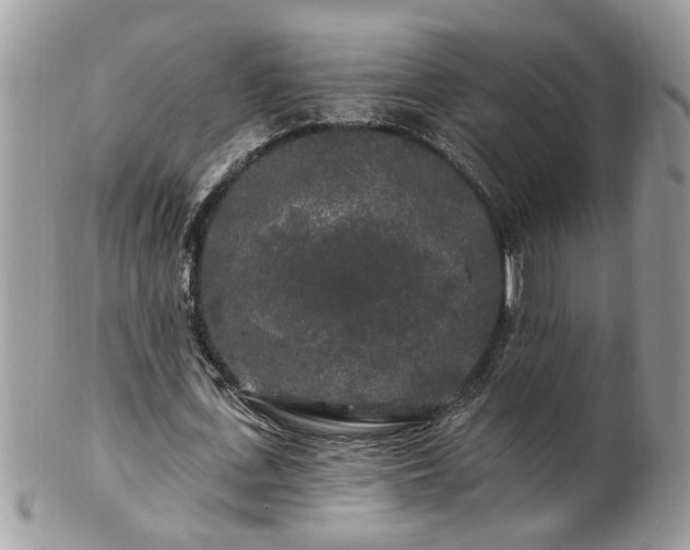 X0000100970723200807011420