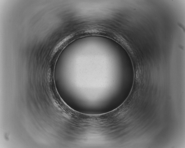 X0000100970724200807011420