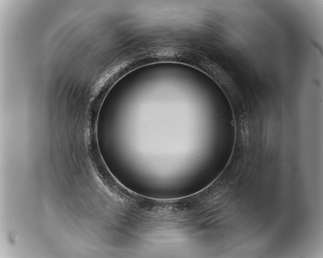 X0000100970728200807011420