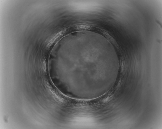 X0000100970729200807011420