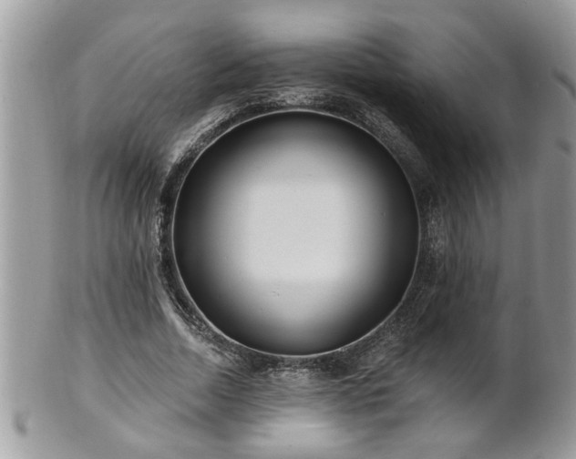 X0000100970730200807011420