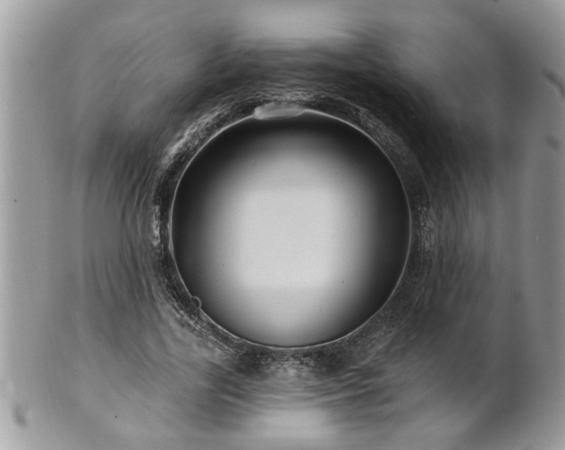 X0000100970731200807011420