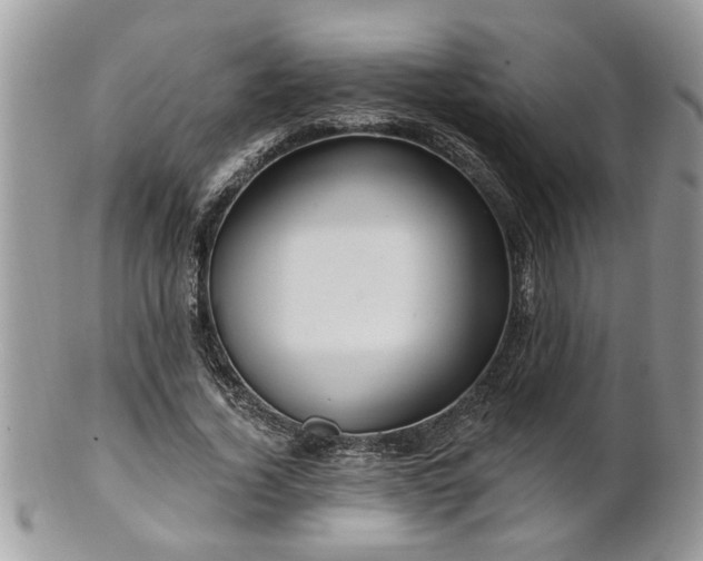 X0000100970732200807011420