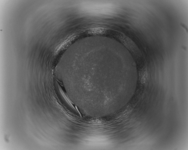 X0000100970735200807011420