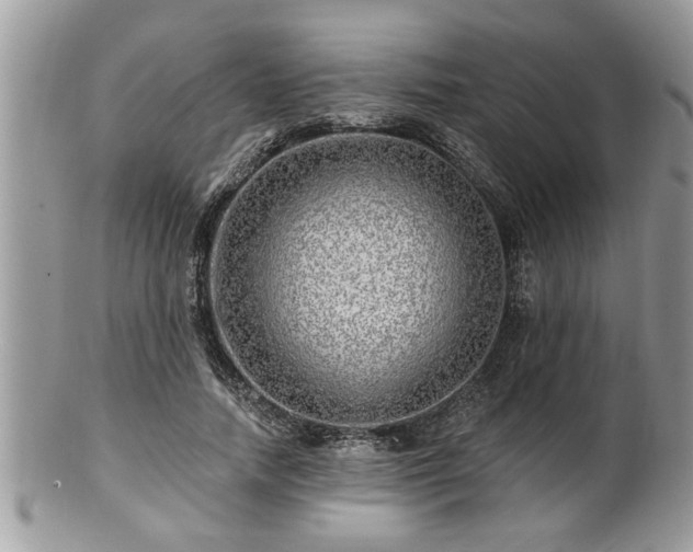 X0000100970738200807011420