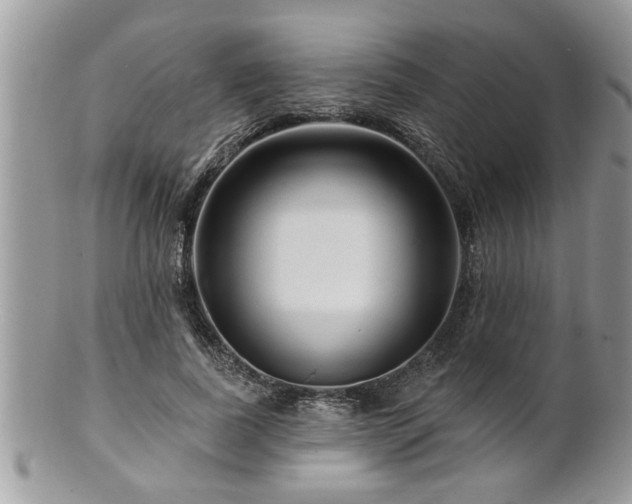 X0000100970739200807011420