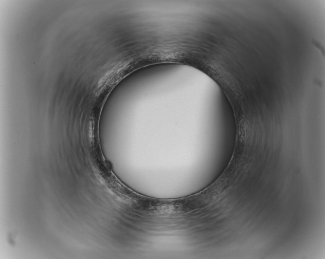 X0000100970740200807011420