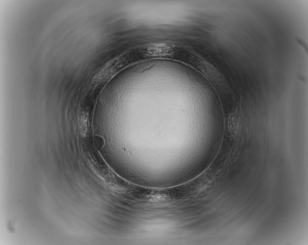 X0000100970741200807011420