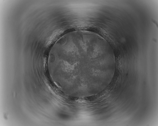 X0000100970742200807011420