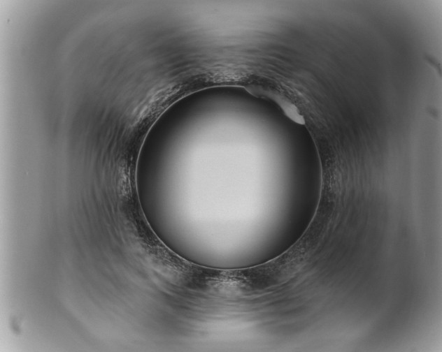 X0000100970743200807011420