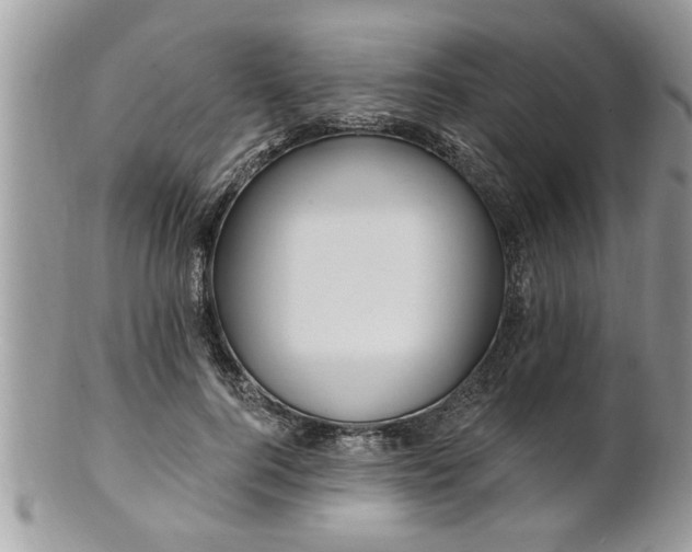 X0000100970744200807011420
