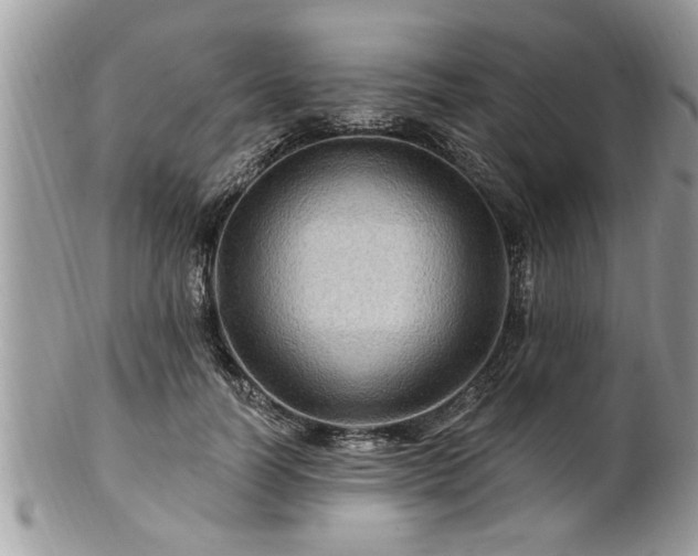 X0000100970746200807011420