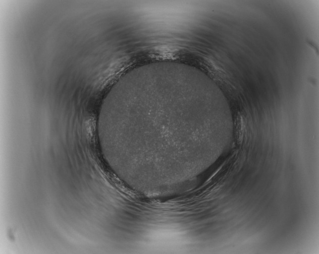 X0000100970747200807011420