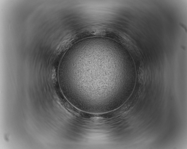 X0000100970748200807011420