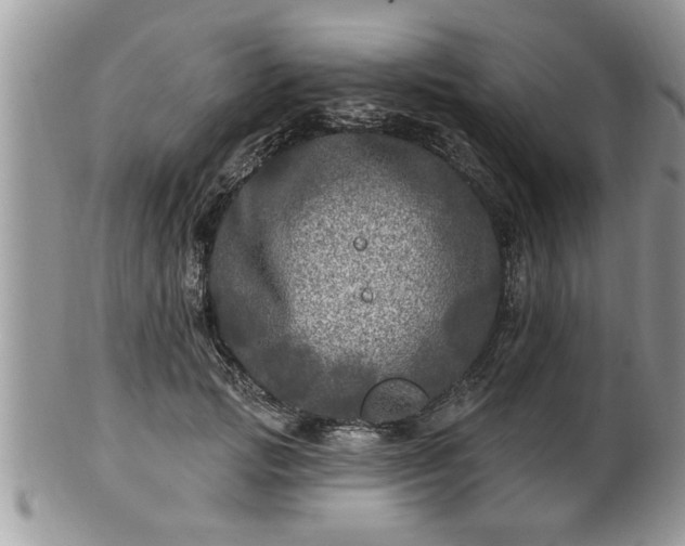 X0000100970749200807011420