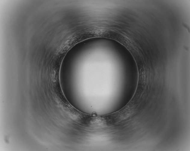 X0000100970750200807011420