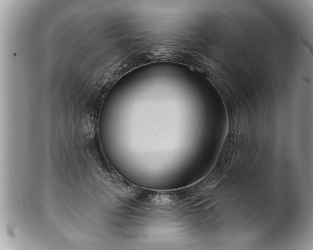 X0000100970751200807011420