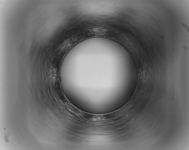 X0000100970752200807011420