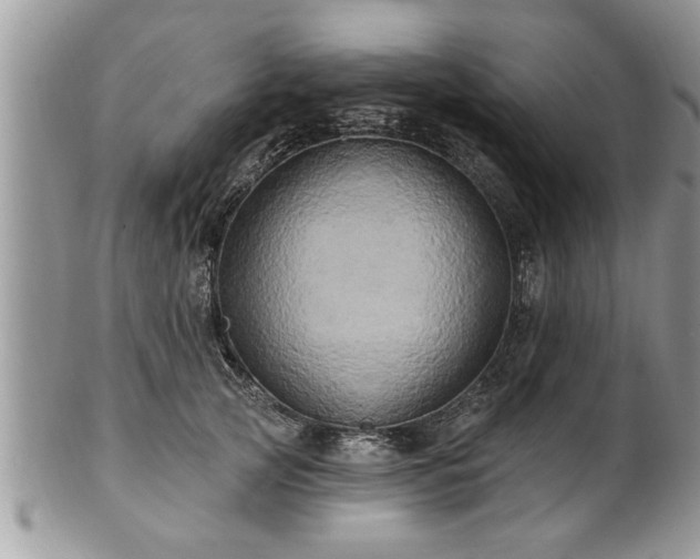 X0000100970753200807011420