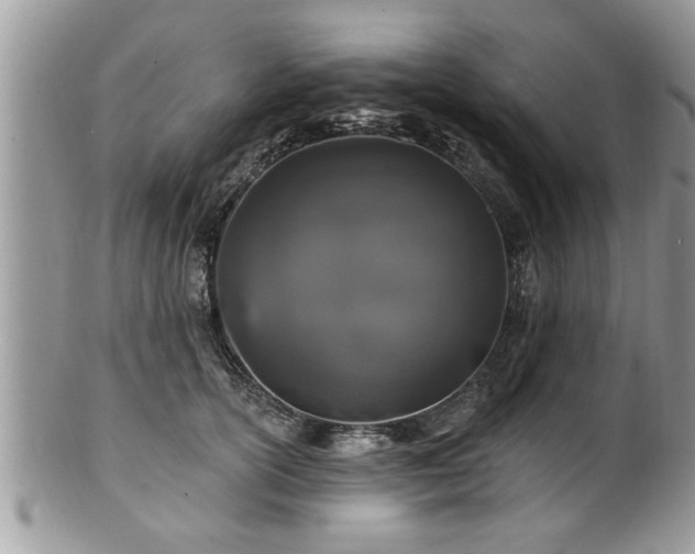 X0000100970754200807011420