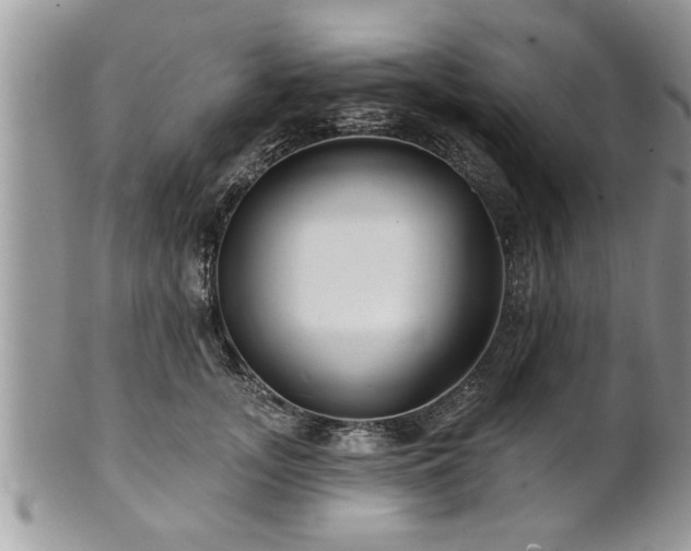 X0000100970755200807011420
