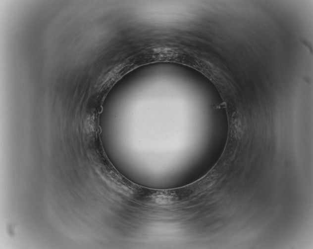 X0000100970756200807011420