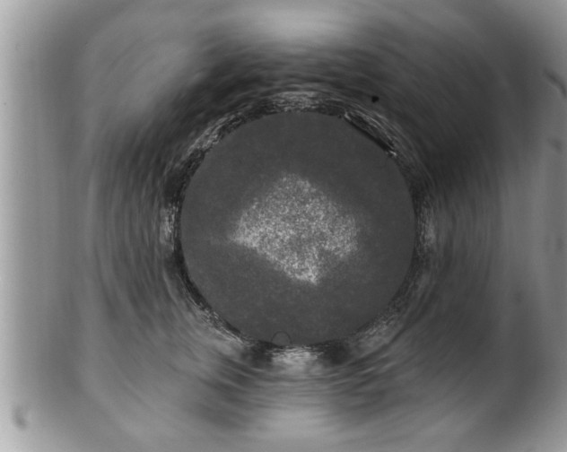 X0000100970759200807011420