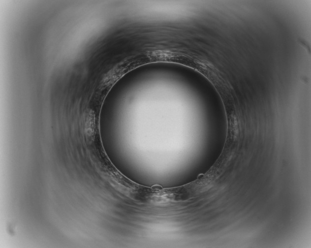 X0000100970760200807011420