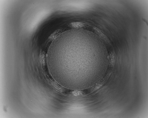 X0000100970762200807011420