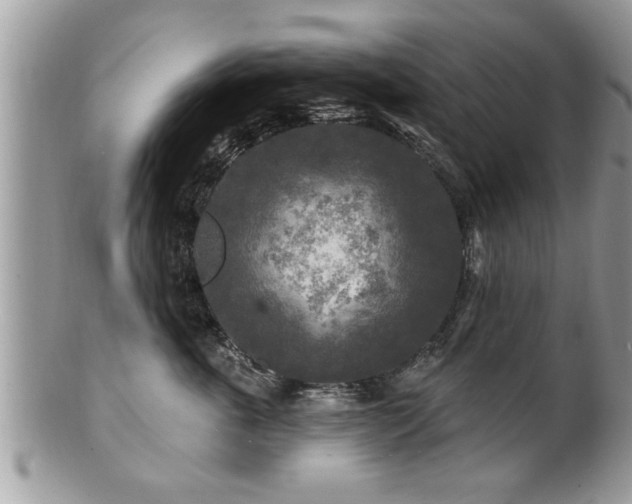X0000100970763200807011420