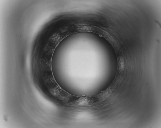 X0000100970764200807011420
