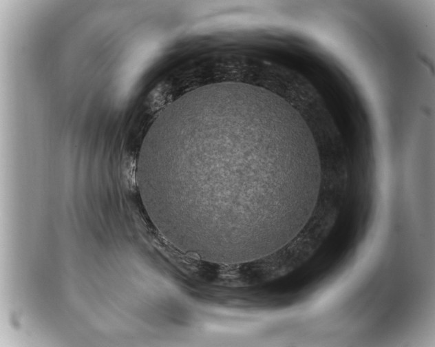 X0000100970766200807011420