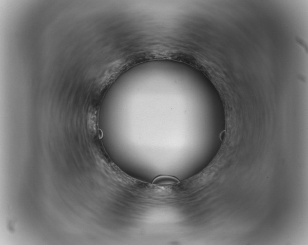X0000100970768200807011420
