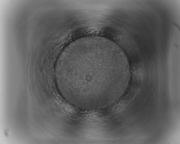 X0000100970769200807011420