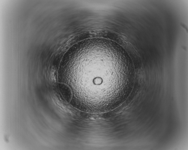 X0000100970770200807011420