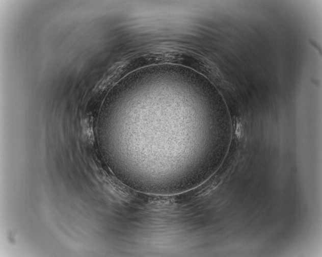 X0000100970771200807011420