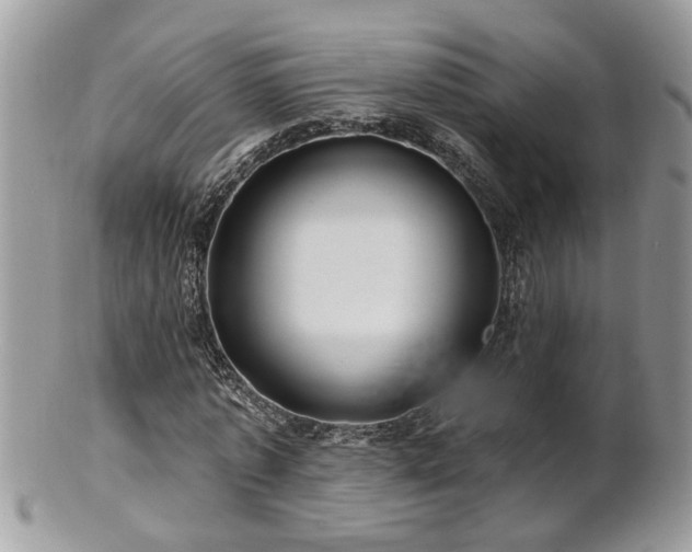 X0000100970773200807011420