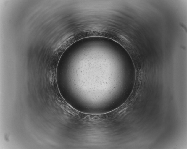 X0000100970774200807011420