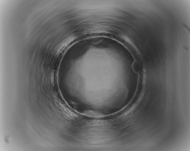 X0000100970777200807011420