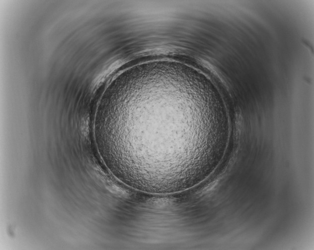 X0000100970778200807011420