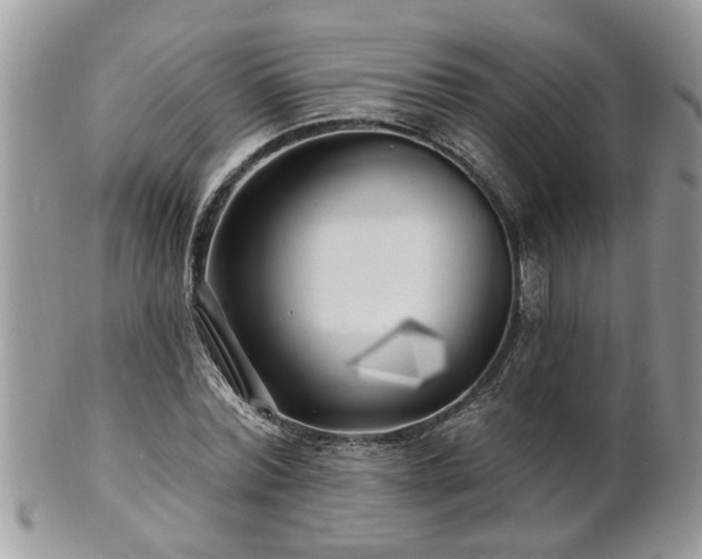 X0000100970780200807011420