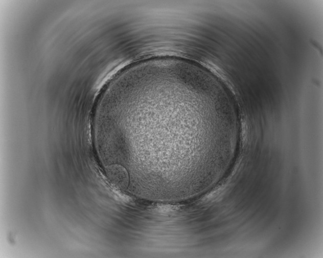X0000100970782200807011420