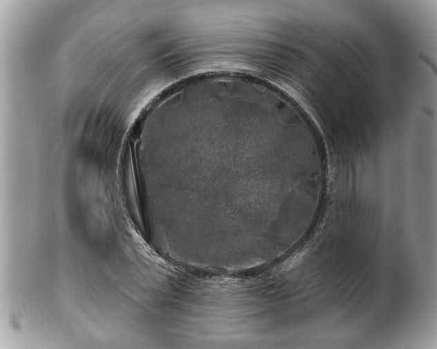 X0000100970783200807011420