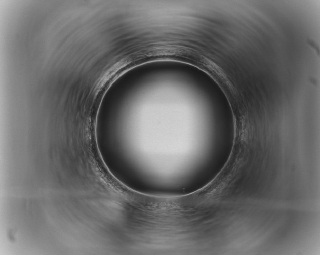 X0000100970786200807011420