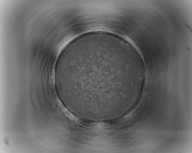 X0000100970791200807011419