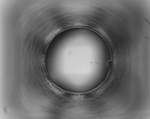 X0000100970793200807011419