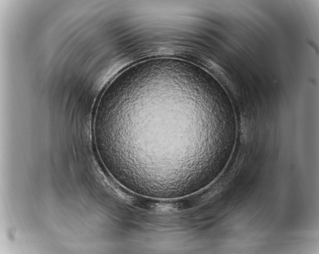 X0000100970794200807011419