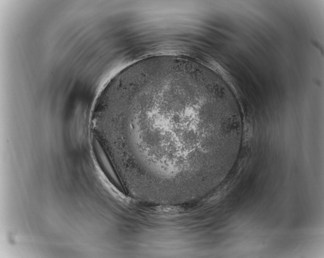 X0000100970795200807011419