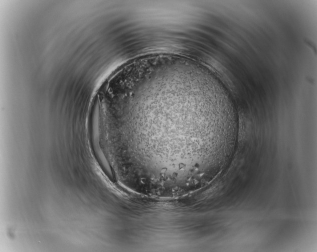 X0000100970796200807011419