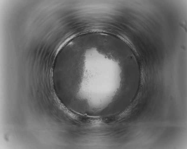 X0000100970798200807011419